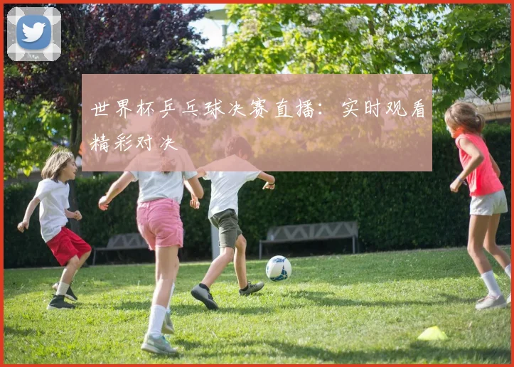 世界杯乒乓球决赛直播:实时观看精彩对决
