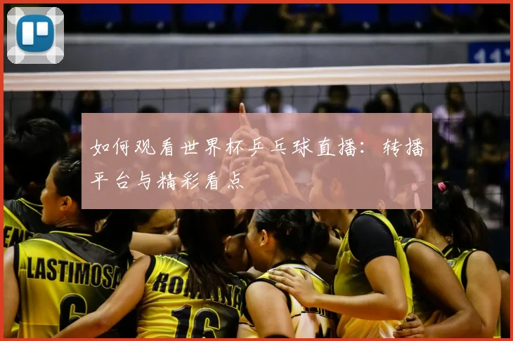 如何观看世界杯乒乓球直播:转播平台与精彩看点